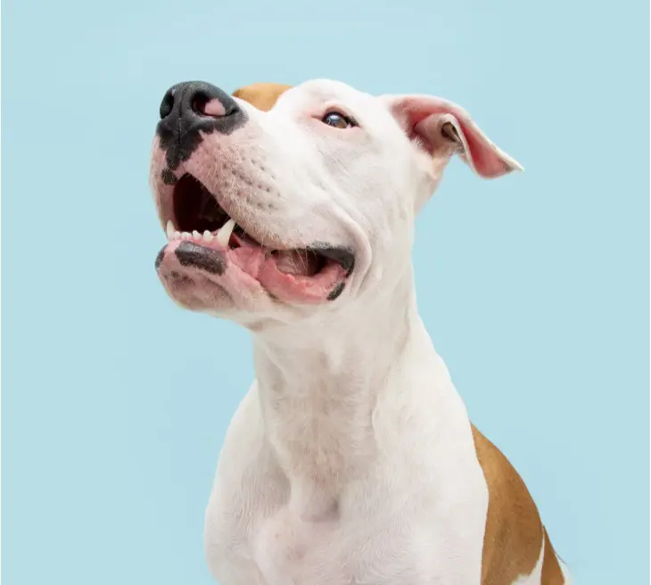 iStock 1321101645 2