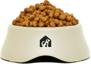 iStock 1326701268 2