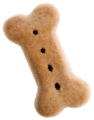 iStock 171282583 1 2
