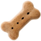 iStock 171282583 4