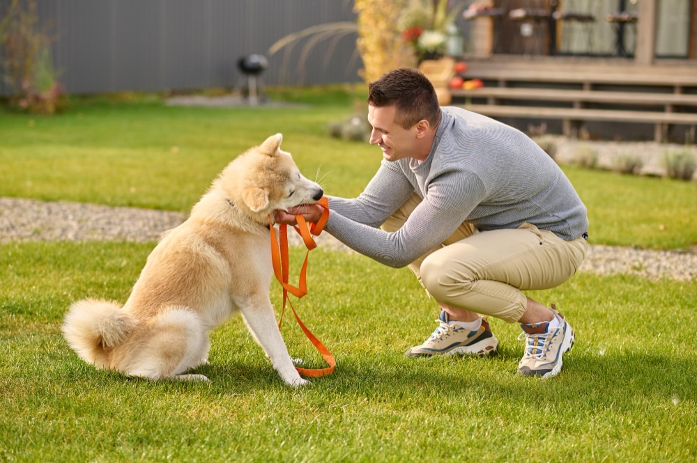 dog training bg 1